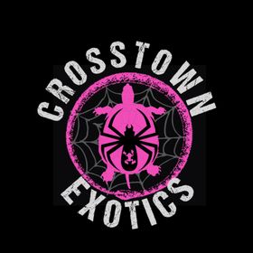 Image for event: Crosstown Exotics - Family Reptile and Bug Show