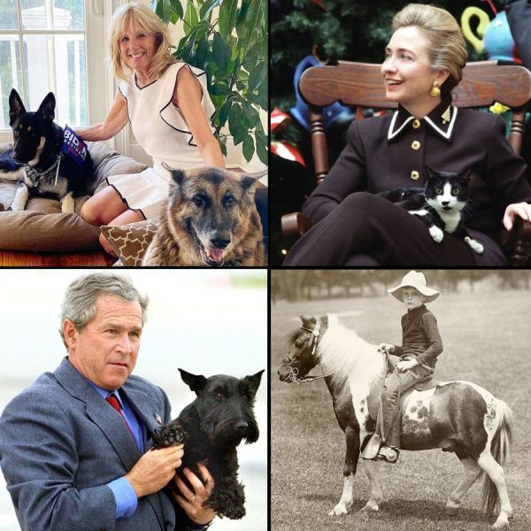 Image for event: National Pet Day: Celebrating Pets in the White House