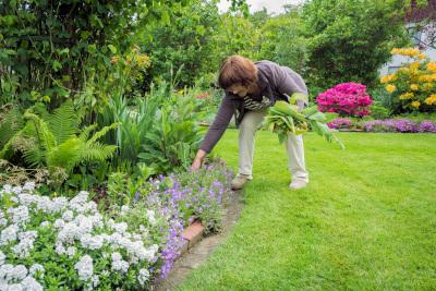 Image for event: Weed Management in Home Landscaping