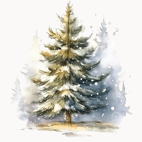 Image for event: What do you see when you look at a Winter tree?