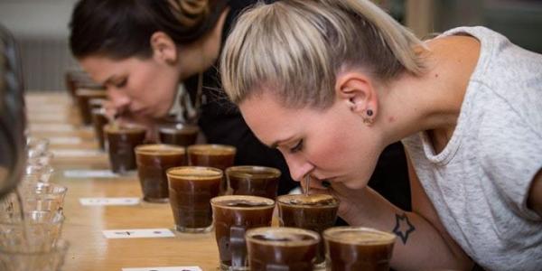 Image for event: Coffee Cupping 101 - FULL