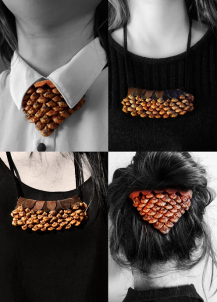 Image for event: Workshop: DIY Pinecone Jewelry