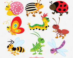 Image for event: Insects!