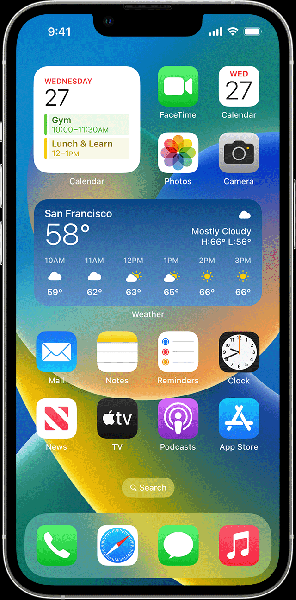 Picture of iPhone homescreen